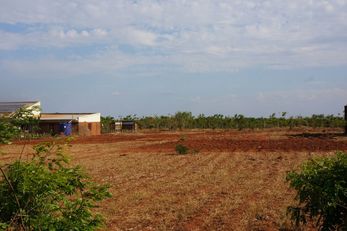 Refugee Camp Model Garden