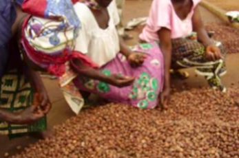 Enhancing the Livelihoods of Zabzua Women in the Shea Industry