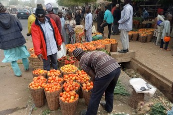 The Solar Drying Centre Project