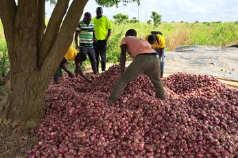 Ensuring Sustainable Agriculture Through Best Farm Practices. 