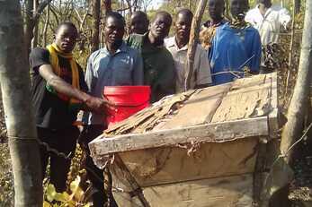 Sendwe Corporative Beekeeping Growth to Impact project