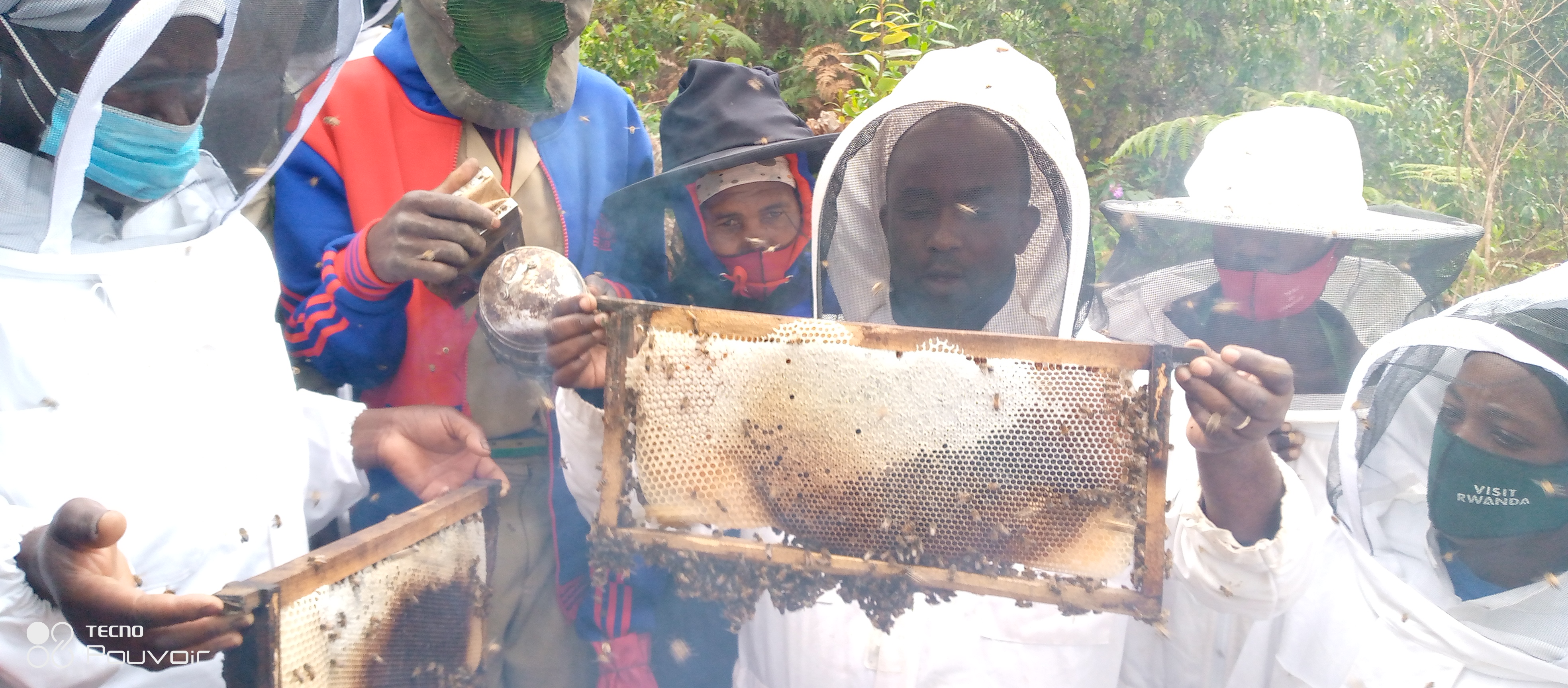 Construction of a honey collection, processing and storage house