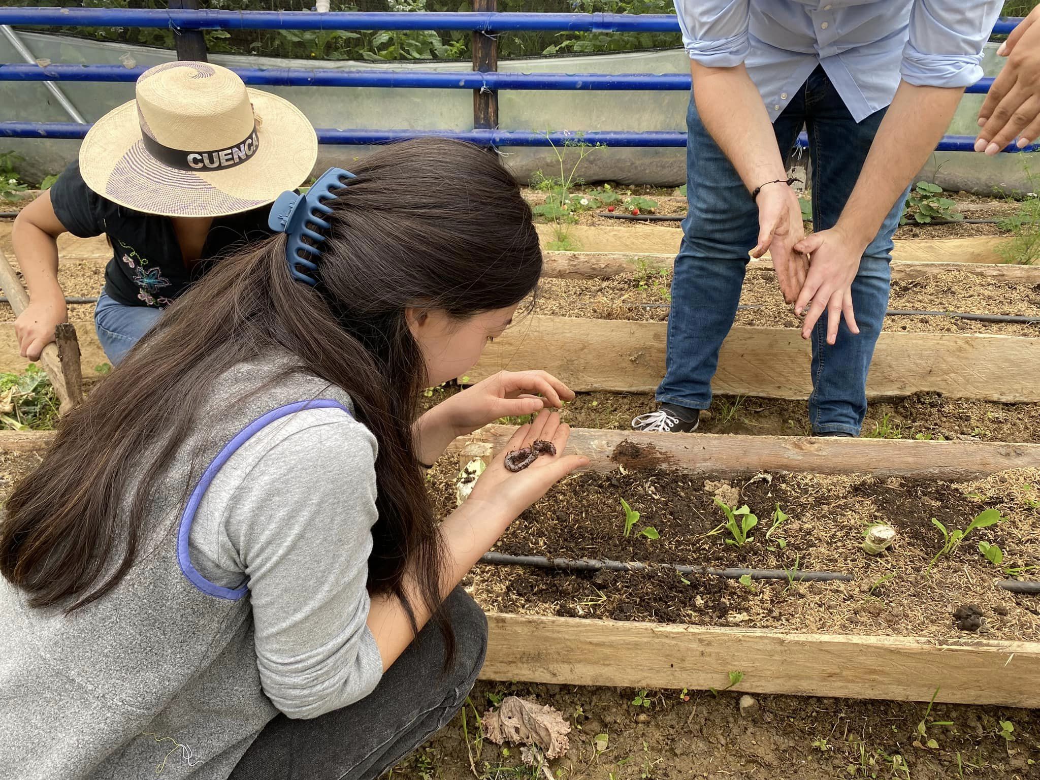 Cultivando el Futuro; Economic Reactivation of Rural Communities