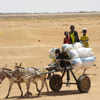 Journey to Senegal, March 2016